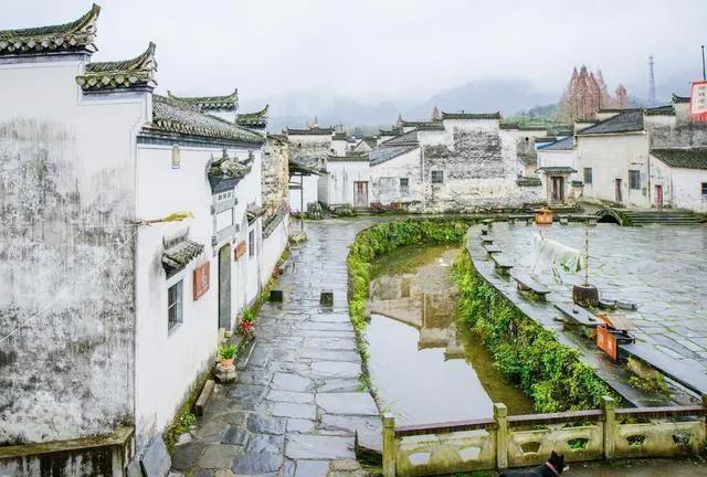 匯總！2022年教育科研等項目，包含安徽廣東山東等省工50個項目