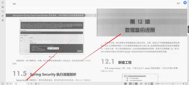 微服務框架VueElement權(quán)限管理系統(tǒng)項目實戰(zhàn)PDF分享