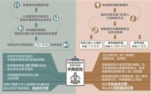 三堂會審｜同是違規(guī)獲得補貼為何定性不同從四川省資陽市雁江區(qū)委原副書記鐘青勇案說起