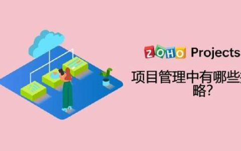 項目管理中有哪些執(zhí)行策略？（項目執(zhí)行策略包含什么）