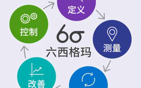 六西格瑪方法在項目管理中的應用（運用六西格瑪方法實施改進項目時）