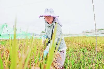 科研經(jīng)費(fèi)管理改革這十年：為人才助力，為創(chuàng)新加速（科研經(jīng)費(fèi)管理新政策）