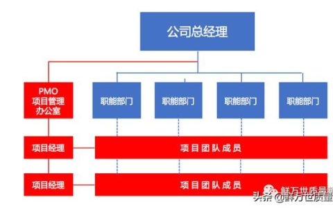 采用矩陣式項(xiàng)目開發(fā)模式，是否還需要建立PMO項(xiàng)目管理辦公室？（項(xiàng)目管理辦公室pmo實(shí)踐指南）