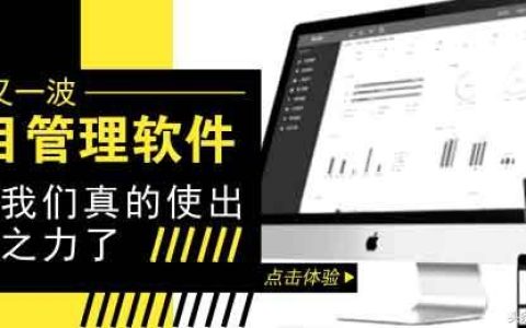 董小姐，一款專為您設(shè)計的項目管理軟件