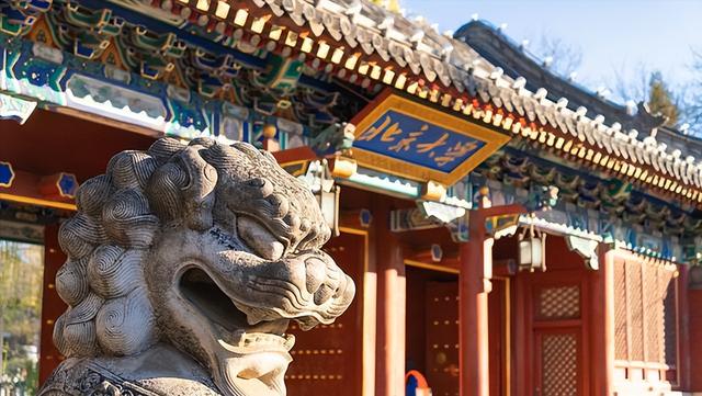 本科專業(yè)就業(yè)前50強，薪資較高的15個職業(yè)盤點，互聯(lián)網(wǎng)類較多（本科就業(yè)前50名專業(yè)）