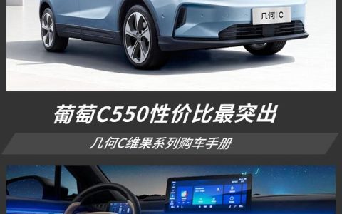 藍(lán)莓、葡萄、西柚都不錯(cuò)！但幾何C葡萄C550更值得擁有