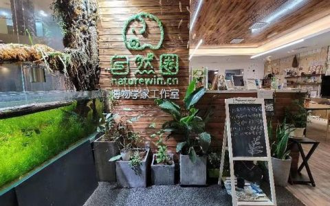 門店管理APP，讓門店實現(xiàn)“輕管理，重高效”（門店管理APP）