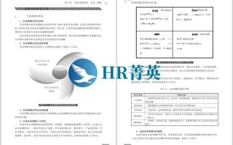 高績效團隊管理實務(wù)全案（高績效團隊建設(shè)案例）