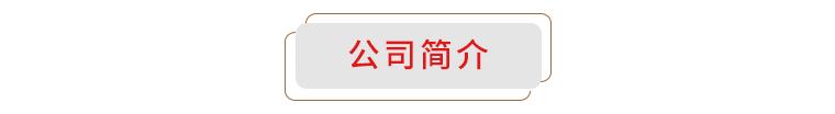 廣西華錫集團(tuán)股份有限公司15220萬股股份(占總股本的9.581%)（廣西華錫集團(tuán)股份有限公司上市）