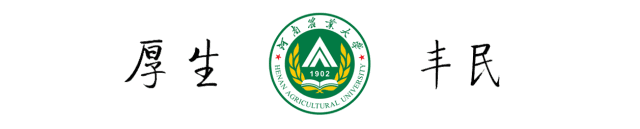 @小21，返校攻略，看這一篇就夠了（返校攻略第一章）