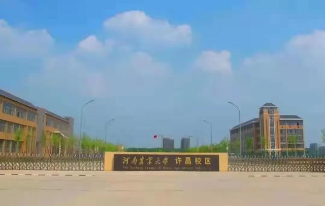 @小21，返校攻略，看這一篇就夠了（返校攻略第一章）
