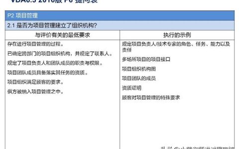 VDA6.3提問P2.1解析：項目組織機構的常見問題