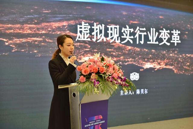 019中國(guó)（溫州瑞安）虛擬現(xiàn)實(shí)產(chǎn)業(yè)發(fā)展論壇（溫州瑞安一體化2020）"