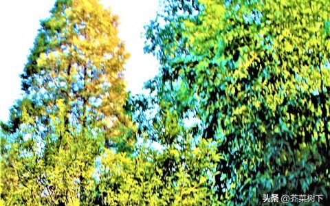留住客戶，重點找對了嗎？（留住客戶,重點找對了嗎怎么說）