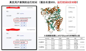 打造生物科技領域的“EDA”，智峪生科推出全生態(tài)蛋白計算設計平臺